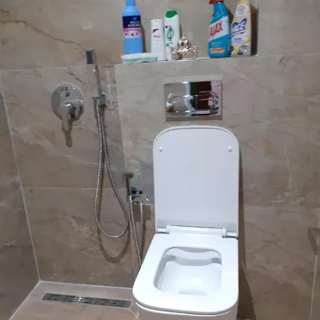 Lida Sarande